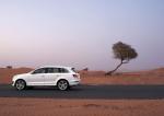 Audi Q7 V12 TDI Quattro 2008 года
